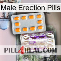 Male Erection Pills new12